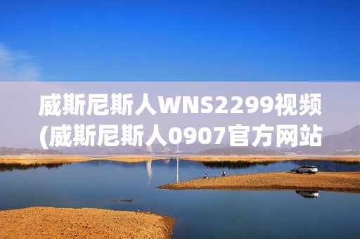 威斯尼斯人WNS2299视频(威斯尼斯人0907官方网站)