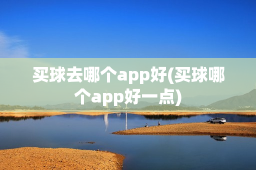 买球去哪个app好(买球哪个app好一点)