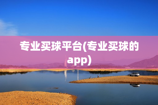 专业买球平台(专业买球的app)