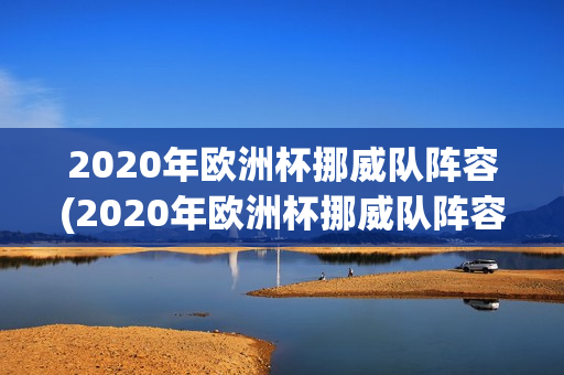 2020年欧洲杯挪威队阵容(2020年欧洲杯挪威队阵容)