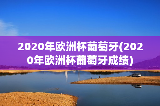 2020年欧洲杯葡萄牙(2020年欧洲杯葡萄牙成绩)