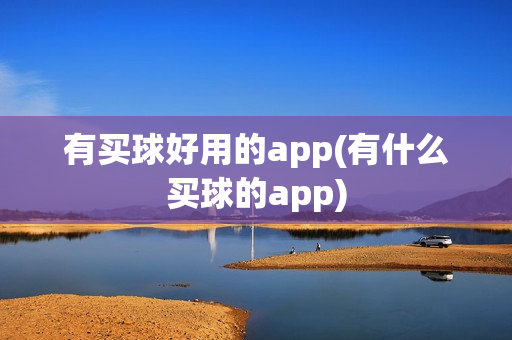 有买球好用的app(有什么买球的app)