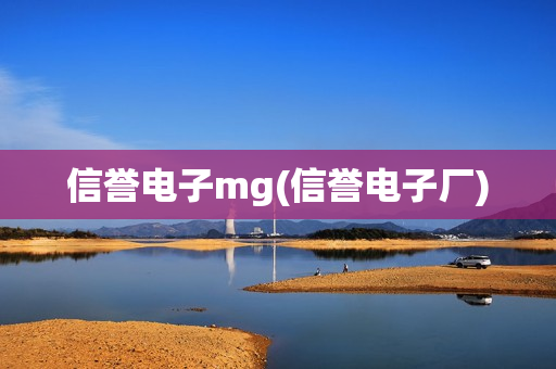 信誉电子mg(信誉电子厂)