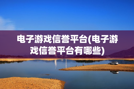 电子游戏信誉平台(电子游戏信誉平台有哪些)