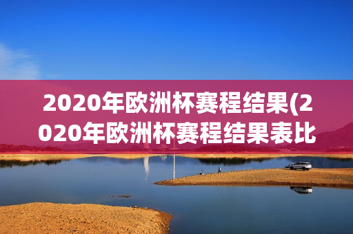 2020年欧洲杯赛程结果(2020年欧洲杯赛程结果表比分)