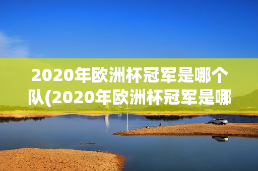 2020年欧洲杯冠军是哪个队(2020年欧洲杯冠军是哪个队的)