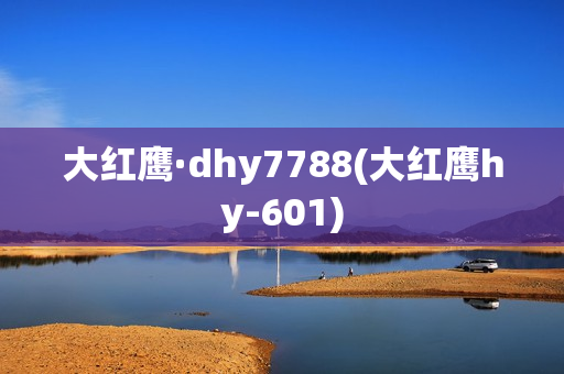 大红鹰·dhy7788(大红鹰hy-601)