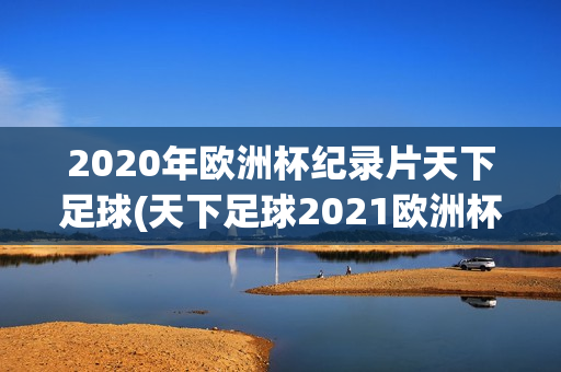 2020年欧洲杯纪录片天下足球(天下足球2021欧洲杯纪录片)