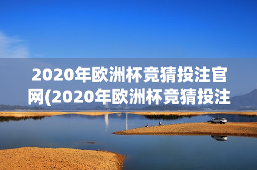 2020年欧洲杯竞猜投注官网(2020年欧洲杯竞猜投注官网查询)