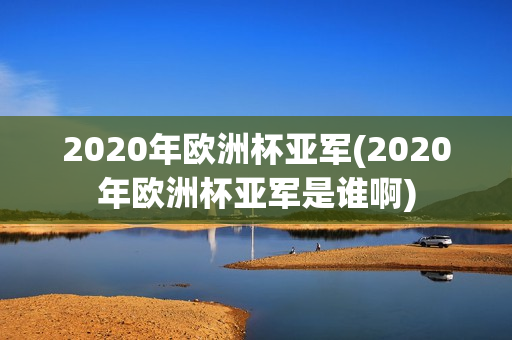 2020年欧洲杯亚军(2020年欧洲杯亚军是谁啊)