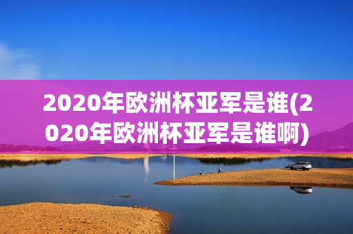 2020年欧洲杯亚军是谁(2020年欧洲杯亚军是谁啊)