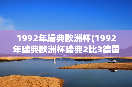 1992年瑞典欧洲杯(1992年瑞典欧洲杯瑞典2比3德国)