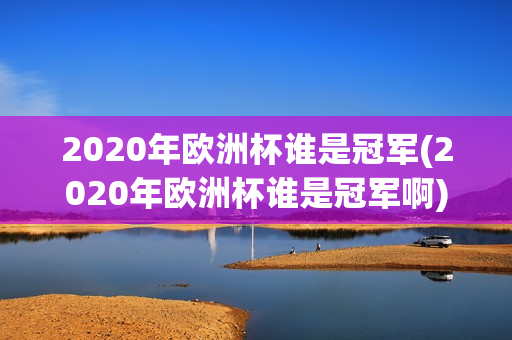 2020年欧洲杯谁是冠军(2020年欧洲杯谁是冠军啊)