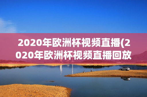 2020年欧洲杯视频直播(2020年欧洲杯视频直播回放)