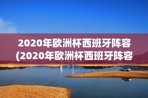 2020年欧洲杯西班牙阵容(2020年欧洲杯西班牙阵容比分)