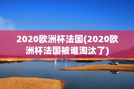 2020欧洲杯法国(2020欧洲杯法国被谁淘汰了)