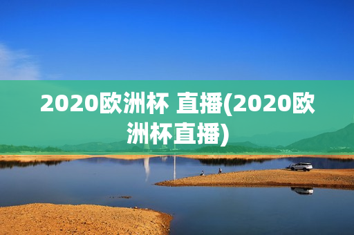 2020欧洲杯 直播(2020欧洲杯直播)