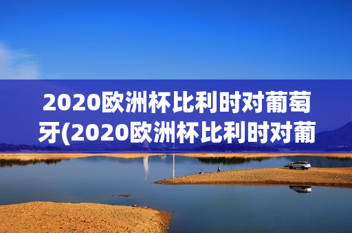 2020欧洲杯比利时对葡萄牙(2020欧洲杯比利时对葡萄牙比分)