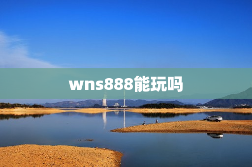 wns888能玩吗