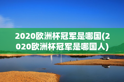 2020欧洲杯冠军是哪国(2020欧洲杯冠军是哪国人)