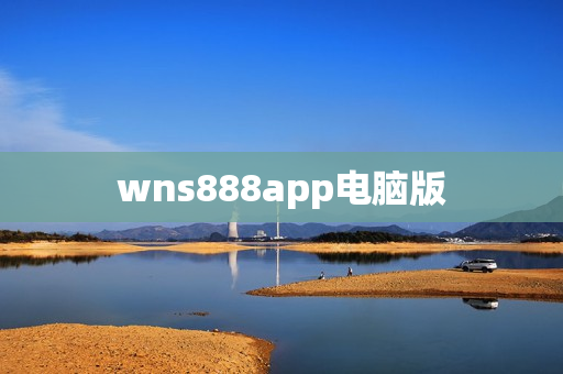 wns888app电脑版