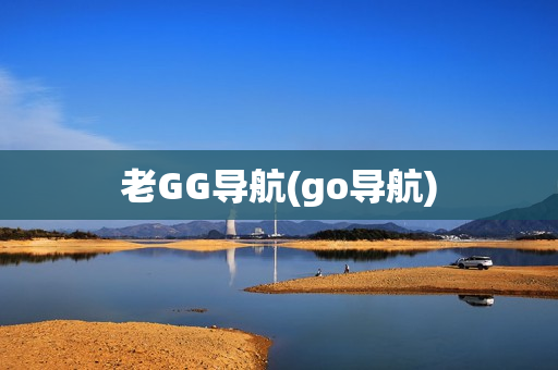 老GG导航(go导航)