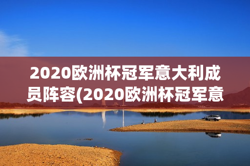 2020欧洲杯冠军意大利成员阵容(2020欧洲杯冠军意大利成员阵容表)