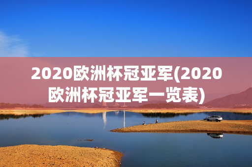 2020欧洲杯冠亚军(2020欧洲杯冠亚军一览表)