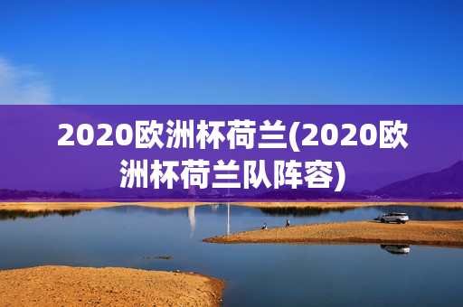 2020欧洲杯荷兰(2020欧洲杯荷兰队阵容)