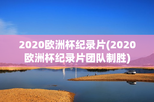 2020欧洲杯纪录片(2020欧洲杯纪录片团队制胜)