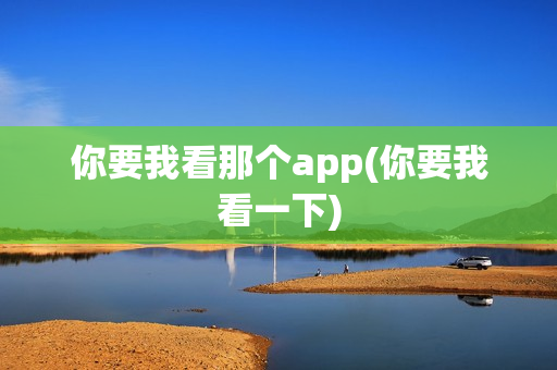 你要我看那个app(你要我看一下)