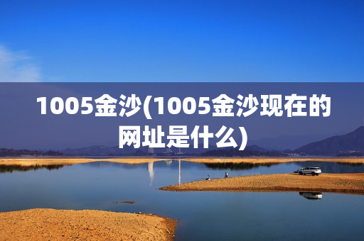 1005金沙(1005金沙现在的网址是什么)