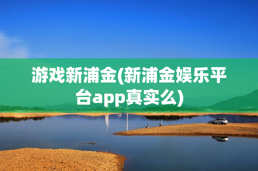 游戏新浦金(新浦金娱乐平台app真实么)