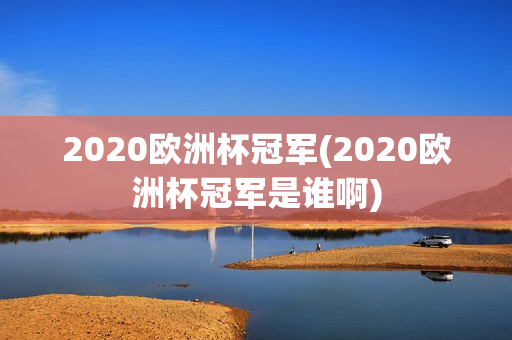 2020欧洲杯冠军(2020欧洲杯冠军是谁啊)