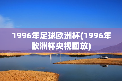 1996年足球欧洲杯(1996年欧洲杯央视回放)