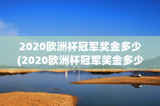 2020欧洲杯冠军奖金多少(2020欧洲杯冠军奖金多少钱)