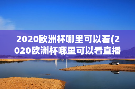 2020欧洲杯哪里可以看(2020欧洲杯哪里可以看直播)