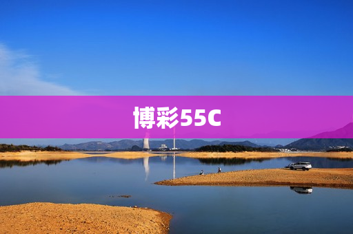 博彩55C