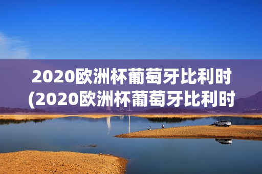 2020欧洲杯葡萄牙比利时(2020欧洲杯葡萄牙比利时全场射门视频)