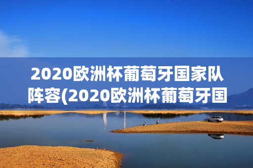 2020欧洲杯葡萄牙国家队阵容(2020欧洲杯葡萄牙国家队阵容表)