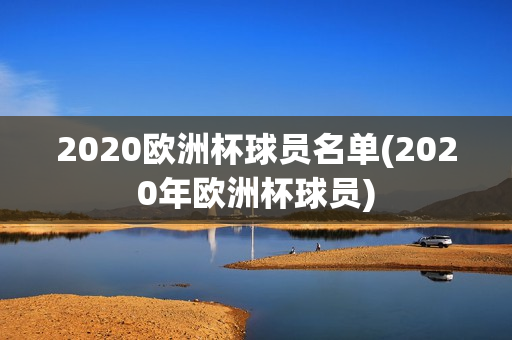 2020欧洲杯球员名单(2020年欧洲杯球员)