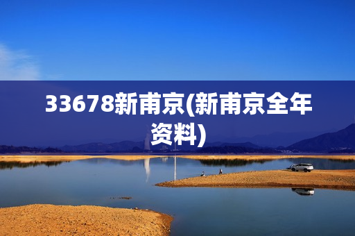 33678新甫京(新甫京全年资料)