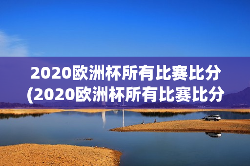 2020欧洲杯所有比赛比分(2020欧洲杯所有比赛比分完整版)