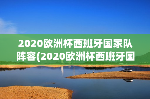 2020欧洲杯西班牙国家队阵容(2020欧洲杯西班牙国家队阵容表)