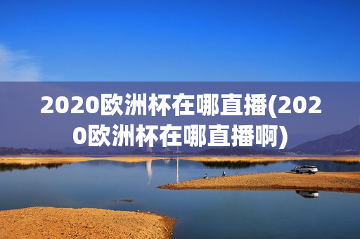 2020欧洲杯在哪直播(2020欧洲杯在哪直播啊)