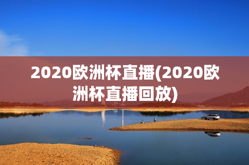 2020欧洲杯直播(2020欧洲杯直播回放)