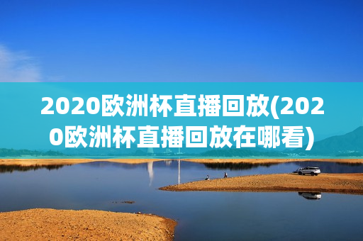 2020欧洲杯直播回放(2020欧洲杯直播回放在哪看)