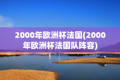 2000年欧洲杯法国(2000年欧洲杯法国队阵容)