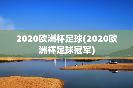 2020欧洲杯足球(2020欧洲杯足球冠军)