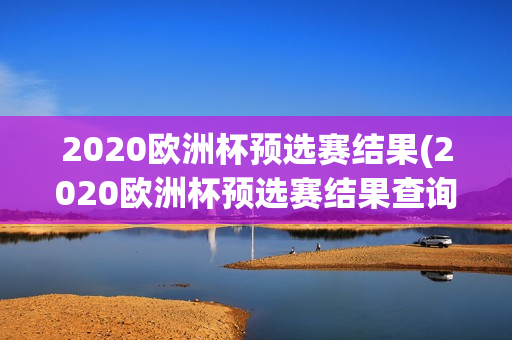 2020欧洲杯预选赛结果(2020欧洲杯预选赛结果查询)